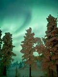 Northern Lights in Peace and Privacy