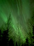 Northern Lights in Peace and Privacy