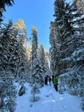 Winter Wonderland Hike in a National Park