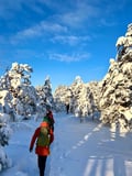Winter Wonderland Hike in a National Park
