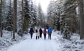 Winter Wonderland Hike in a National Park