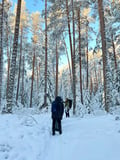 Winter Wonderland Hike in a National Park