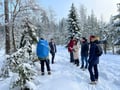 Winter Wonderland Hike in a National Park