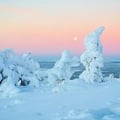 Private Levi Snowmobile Safari – Around Levi Fell (3 Hours)