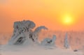 Private Levi Snowmobile Safari – Around Levi Fell (3 Hours)