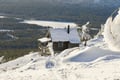 Levi Scenic Tour Reindeer Encounter and Snowshoe Adventure