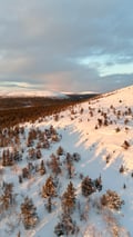 Half-day Snowshoeing Adventure in Levi