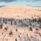 Half-day Snowshoeing Adventure in Levi