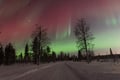 Northern Lights Hunting with a photographer (only small groups)