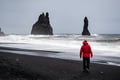 South Coast Adventure in Spanish: Small Group Day Tour from Reykjavik