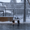 Arctic Spa Experience