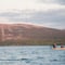 Lake fishing at the summertime 