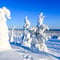 Arctic Adventure through Magical Frozen Forests of Riisitunturi