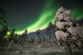 AURORA HUNTING WITH SNOWSHOES