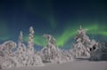 AURORA HUNTING WITH SNOWSHOES