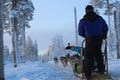 Husky and Snowmobiles Galore