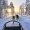 Husky and Snowmobiles Galore