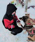 Husky and Snowmobiles Galore