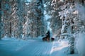 Husky and Snowmobiles Galore