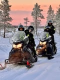 Small Group: Snowmobile Safari from Riverside Lodge 3h