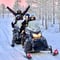 Small Group: Snowmobile Safari from Riverside Lodge 3h
