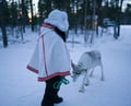 Reindeer farm and reindeer safari express 1 km, Levi