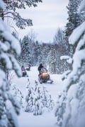 Snowmobile Safari with Snowshoeing and Santa Claus Village