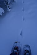 Snowshoes and camp fire