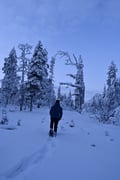 Snowshoes and camp fire