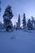 Snowshoes and camp fire