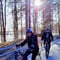 Explore happiest Helsinki: Bike/Ebike: BBQ, Sauna, &Parks