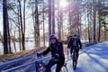 Explore happiest Helsinki: Bike/Ebike: BBQ, Sauna, &Parks
