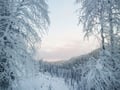 Rovaniemi: Korouoma Canyon Frozen Waterfalls Hike Tour & BBQ - Small Group