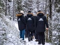 Rovaniemi: Korouoma Canyon Frozen Waterfalls Hike Tour & BBQ - Small Group