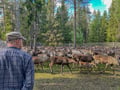 Authentic Reindeer Farm & Ranua Wildlife Park