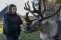 Authentic Reindeer Farm & Ranua Wildlife Park