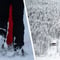 Snow Hike & Wilderness Sauna experience (Private)