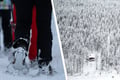 Snow Hike & Wilderness Sauna experience (Private)