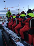 Arctic Ocean tours: North Varanger birds, whales and wildlife by boat (with transfer from Utsjoki)