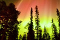 Levi Northern Lights Experience