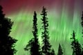 Levi Northern Lights Experience