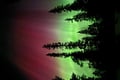 Levi Northern Lights Experience