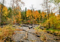 Vaattunkiköngäs Trail Arctic Circle Forest Hike