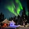 Aurora Dinner at Private Happy Fox Farm, 3 hours (Private Tour)