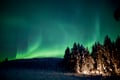 Aurora Dinner at Private Happy Fox Farm, 3 hours (Private Tour)