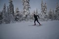 Cross-country ski group lesson: freestyle