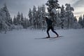 Cross-country ski group lesson: freestyle