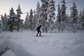 Cross-country ski group lesson: freestyle