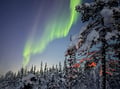 Arctic Night Snowmobile Safari with Campfire, Levi — adults only