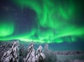 Arctic Night Snowmobile Safari, Levi — adults only